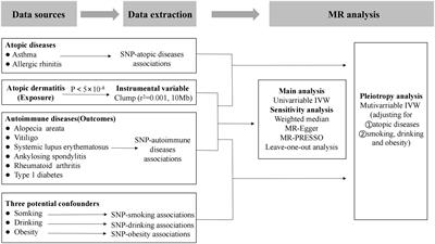 Association of atopic dermatitis with autoimmune diseases: A bidirectional and multivariable two-sample mendelian randomization study